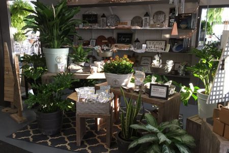 Retail Space with Crafts and Potted Plants